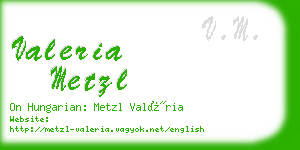 valeria metzl business card